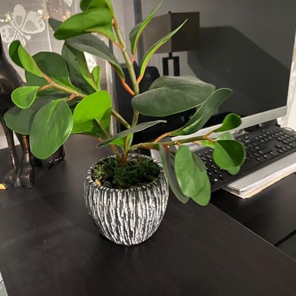 NEW Artificial Plants Real Looking and Touching Fake Plant Evergreen Plastic - Picture 10 of 10